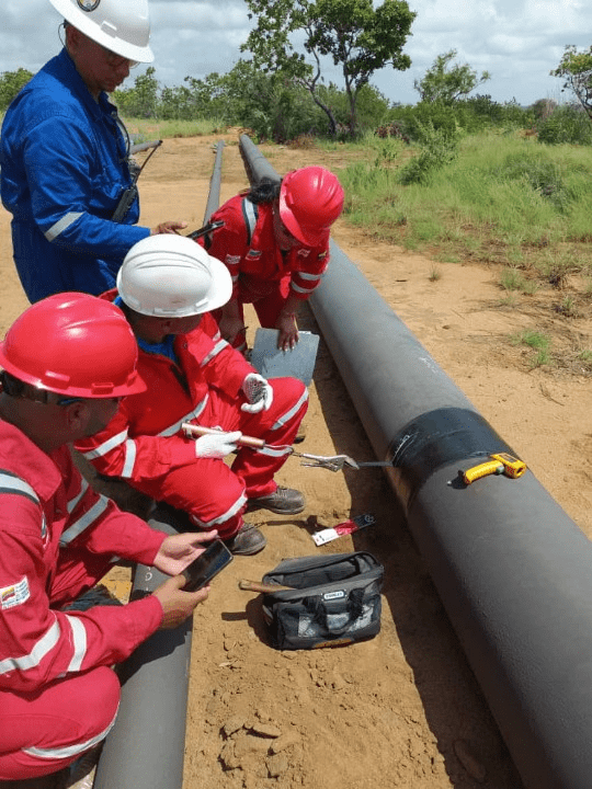 Somos sinónimo de óptima calidad